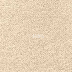 Ковролин Radici Forum Latte 2118 фото 1 | FLOORDEALER